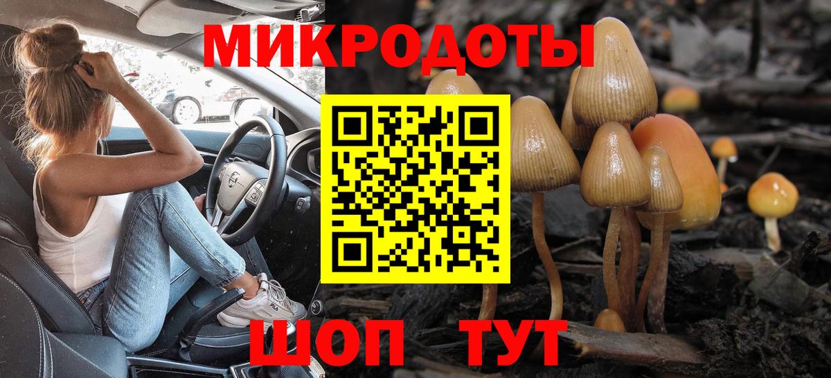 Галлюциногенные грибы прущие грибы Елизово