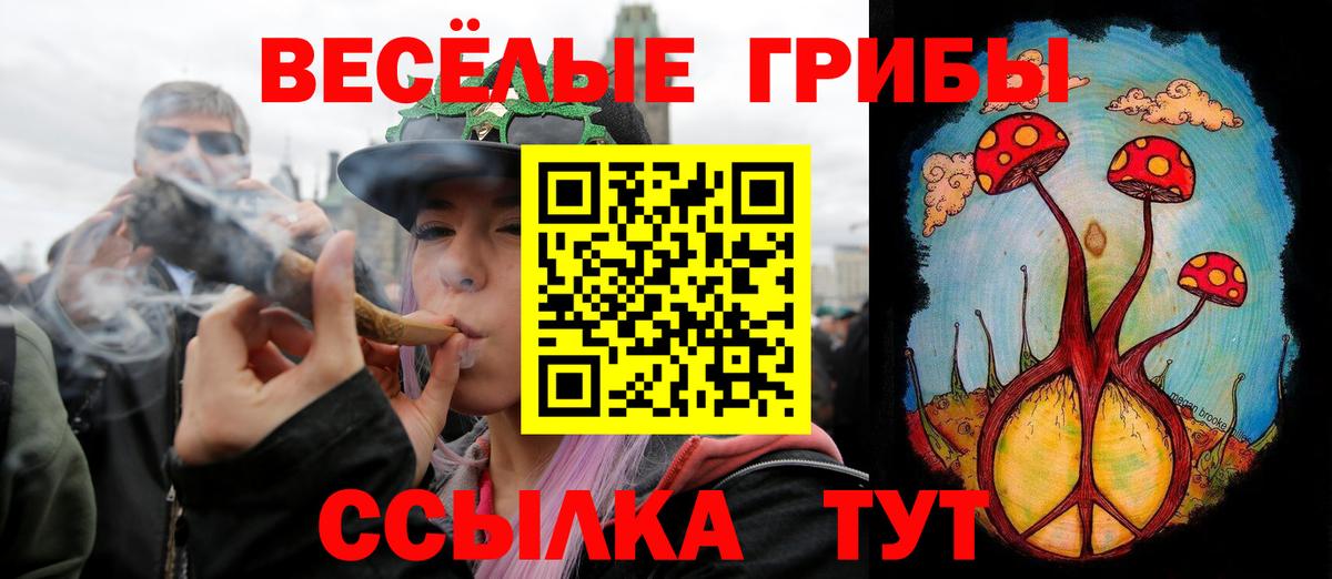 Галлюциногенные грибы Psilocybine cubensis  Псилоцибиновые грибы ЛСД  Вход с VPN  Елизово 